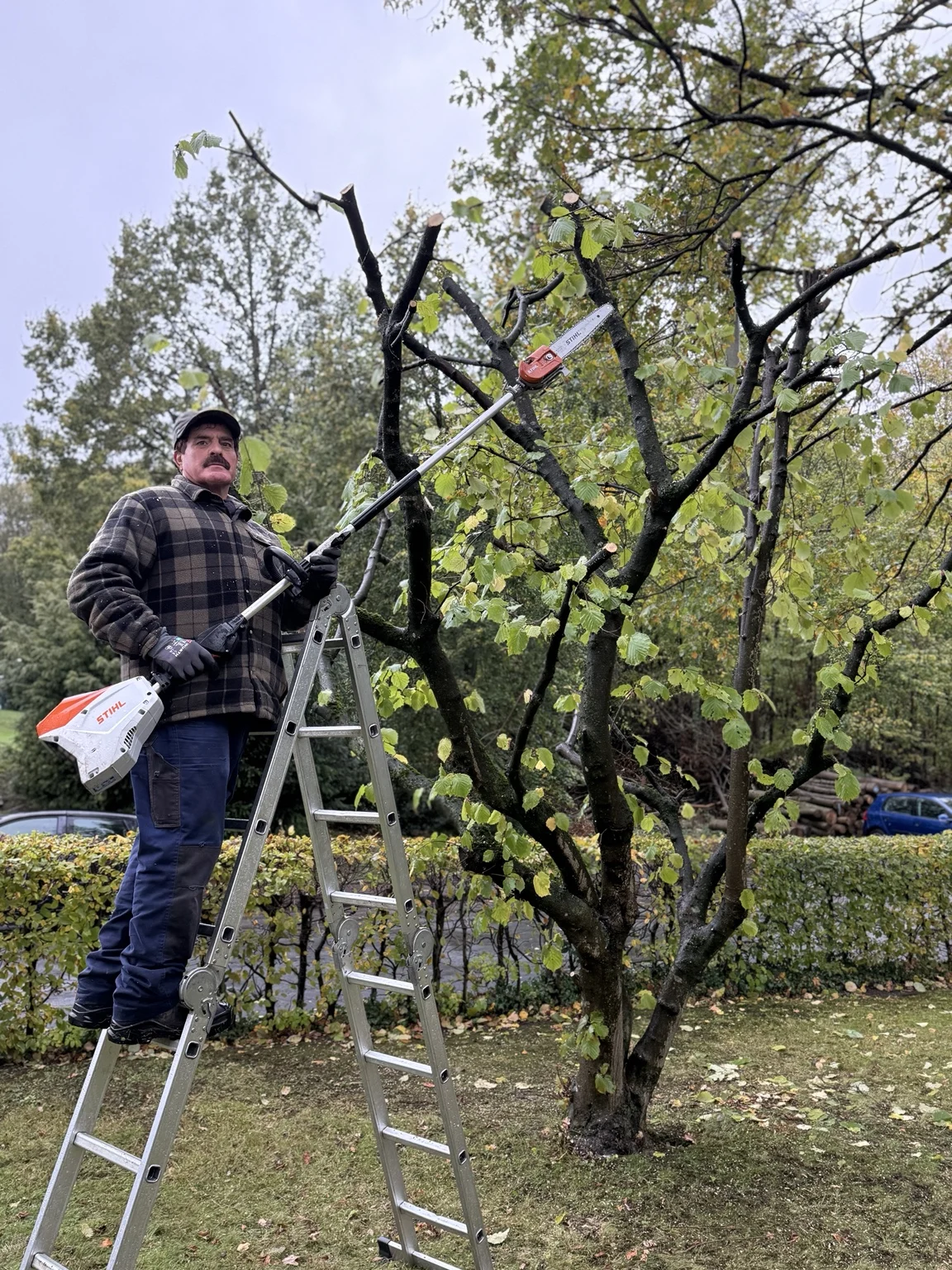 Basri Yalcin bei der Baumpflege im Garten
